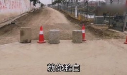 河南村长爆料最新消息,揭秘乡村发展背后惊人真相